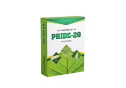 Pride-20