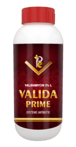 Valida_Prime