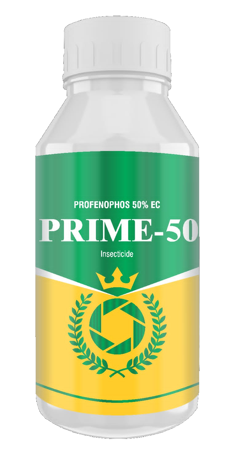 prime-50